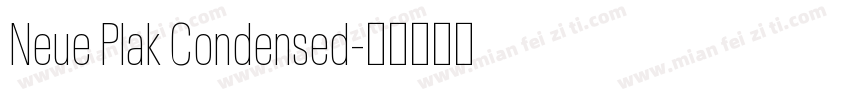 Neue Plak Condensed字体转换